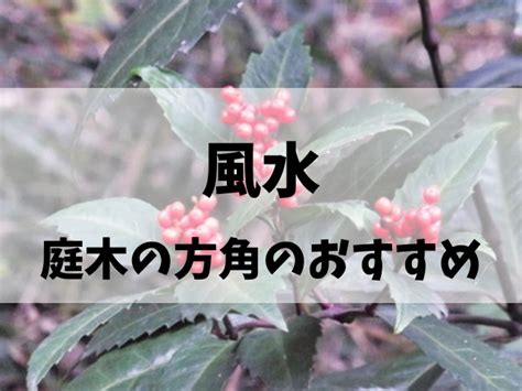 植栽 風水|風水で庭木の方角のおすすめと縁起がいい庭木の言い。